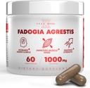 performance-micronized-creatine-monohydr-3.jpg