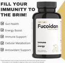 certified-organic-fucoidan-500-mg-pure-a-3.jpg