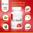 rlc-a-drenal-adrenal-support-for-stress--3.jpg