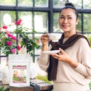menopause-tea---post-menopause-vitamins--6.jpg
