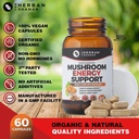 mushroom-supplement-energy-support-organ-2.jpg