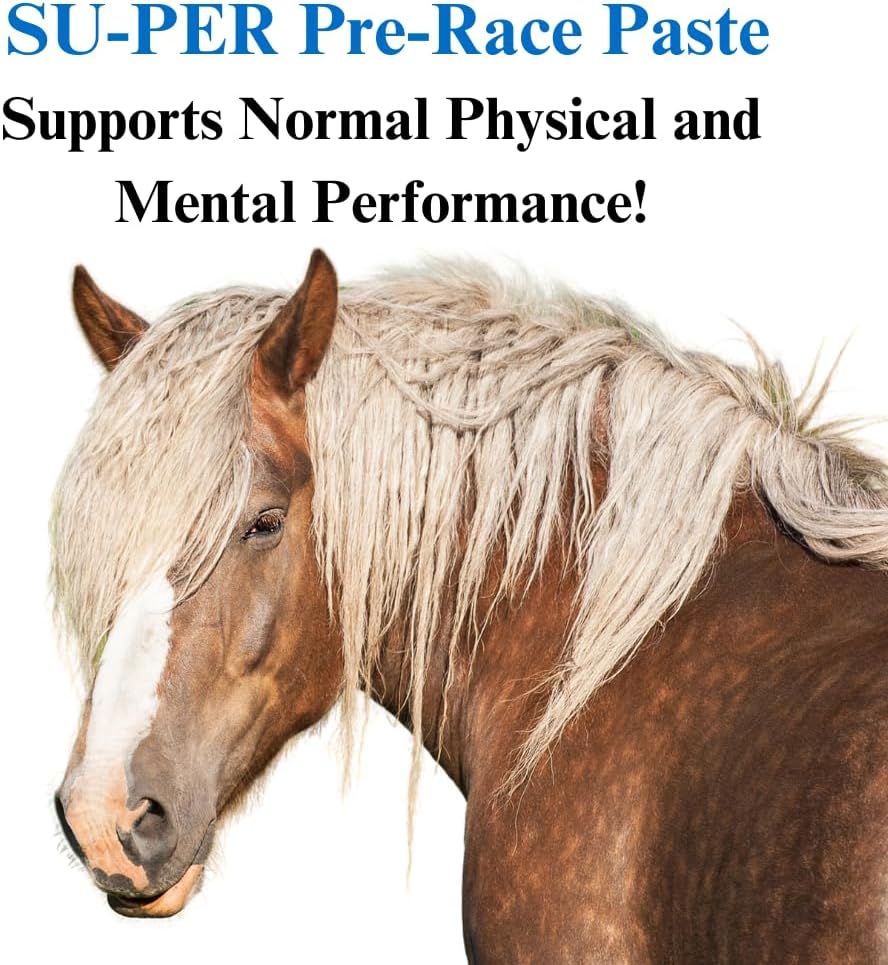 su-per-pre-race-paste-for-horses---perfo-2.jpg