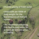 new-country-organics-low-starch-horse-fe-6.jpg
