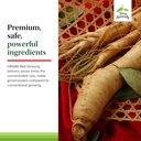 terry-naturally-hrg80-red-ginseng-energy-5.jpg