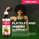 papaya-leaf-extract-bundle---digestive-a-5.jpg