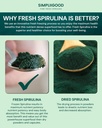 spirulina-cubes---high-protein-vitamin-r-3.jpg