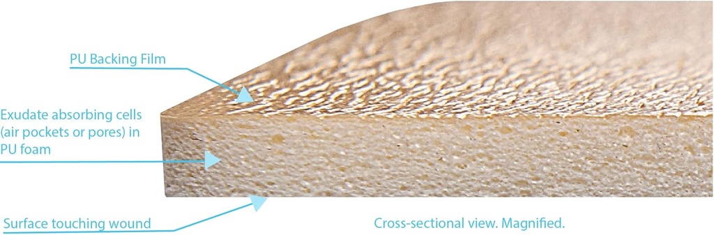 areza-medical---foam-wound-dressing---po-4.jpg