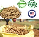 american-ginseng-from-wisconsin-dol-amer-5.jpg