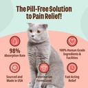 licks-pill-free-cat-ache-aid---turmeric--3.jpg