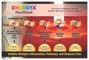 flexifood-33-in-1-powder-of-premium-coll-2.jpg
