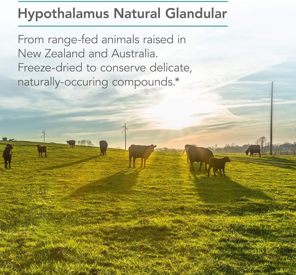 nutricology-hypothalamus-supplement---en-4.jpg