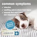 homeopet-hp-healing-cream-safe-and-natur-3.jpg