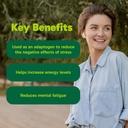 organika-korean-red-ginseng-200-ct-4.jpg