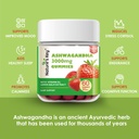 natures-key-upgraded-20-ashwagandha-gumm-5.jpg
