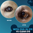 noveha-pet-drops-wash-gentle-safe-cleans-4.jpg