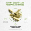 secrets-of-the-tribe-cilantro-usda-organ-2.jpg
