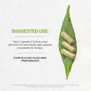 secrets-of-the-tribe-cilantro-usda-organ-3.jpg
