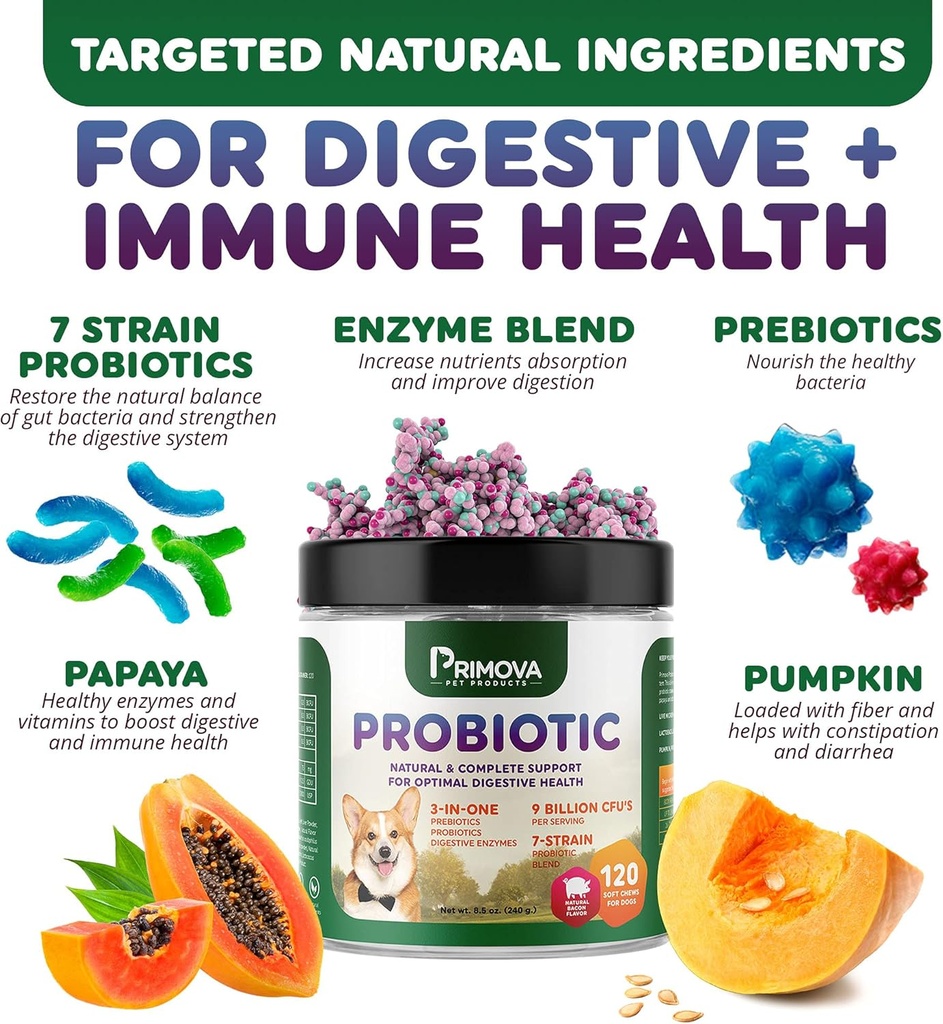 probiotic-dog-chews-for-dog-digestive-en-2.jpg