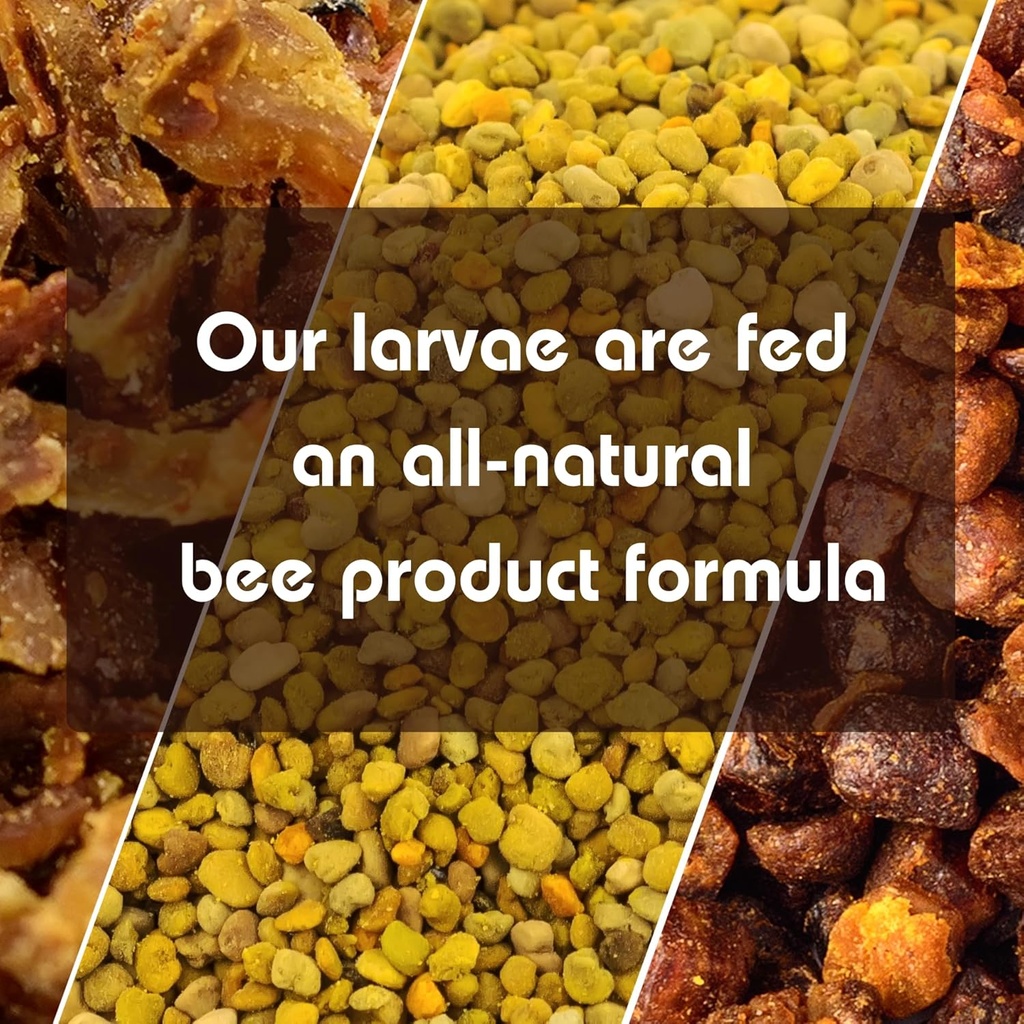 lpwml-bee-ognevka-life-product-of-wax-mo-6.jpg