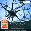 best-naturals-glucosamine-chondroitin-an-5.jpg