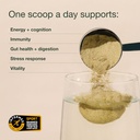 nuzest-greens-powder-good-green-vitality-4.jpg