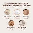 rocco-roxie-cat-probiotic-supplements-st-6.jpg