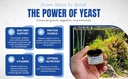 calcium-protein-for-strong-shells-health-4.jpg