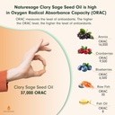 vegan-omega-3-capsule-supplement-plant-b-5.jpg