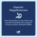 gutTM-pellets-healthy-gut-probiotics-for-4.jpg