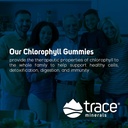 trace-minerals-chlorophyll-gummies-100mg-5.jpg