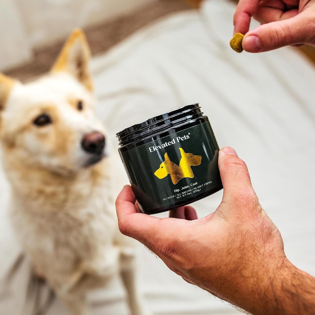 ultra-healthy-omega-3-fish-oil-treats-wm-5.jpg