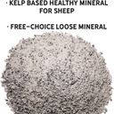 new-country-organics-healthy-sheep-kelp--3.jpg