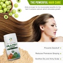certified-organic-aura-amla-powder-16oz--5.jpg