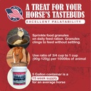sbs-equine-starting-gate-granules---hors-3.jpg