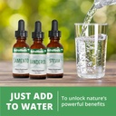 nutramedix-avea-turmeric-extract---liqui-6.jpg