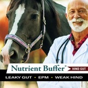 hg---equine-hind-gut-lower-gastric-diges-4.jpg