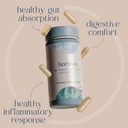 cielo-daily-horizon-prebiotics---probiot-3.jpg