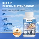 shilajit-pure-himalayan-6000mg-shilajit--3.jpg