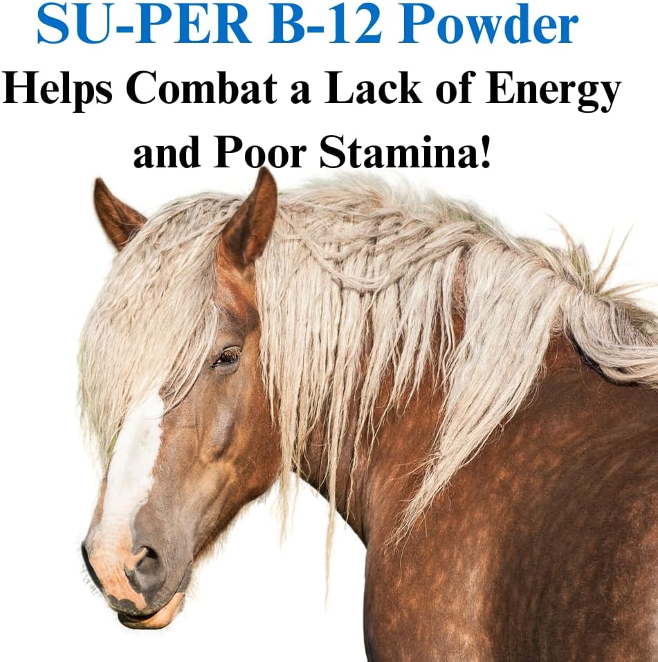 su-per-b-12-energy-horse-supplement---eq-2.jpg