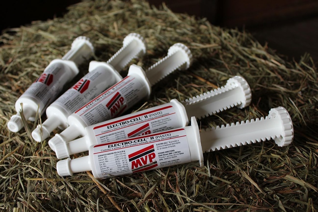 electro-cell-ii-electrolyte-paste-for-ho-4.jpg