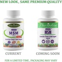 paradise-msm-100-optimsm-original-worldw-2.jpg