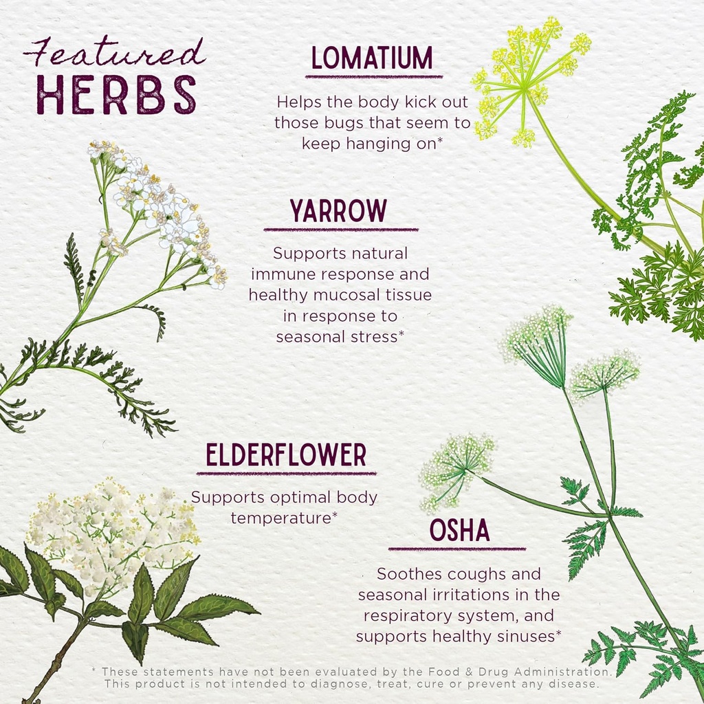 wishgarden-herbs-serious-v-fighter---pla-4.jpg