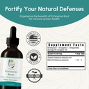 echinacea-root-tincture---immune-system--4.jpg