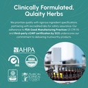 echinacea-root-tincture---immune-system--6.jpg