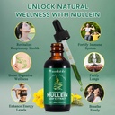 mullein-drops-for-lungs-mullein-leaf-ext-5.jpg