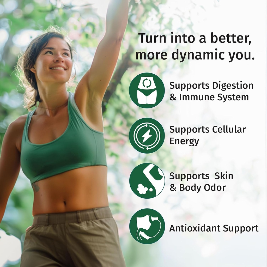 4-pack-4-in-1-vegan-chlorophyll-liquid-d-2.jpg