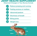 joint-support-rabbit-200-tablets-anti-in-2.jpg