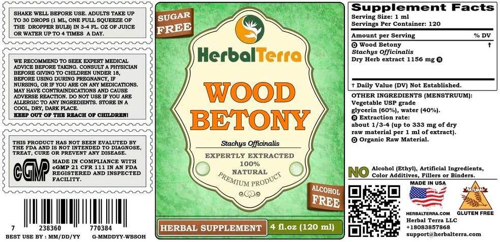 wood-betony-stachys-officinalis-glycerit-2.jpg