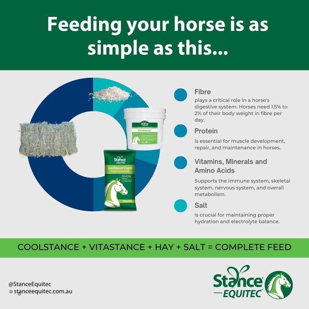 stance-equitec-vitastance-vitamin-minera-2.jpg