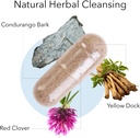 kroeger-herb-products-candida-1-and-turm-2.jpg